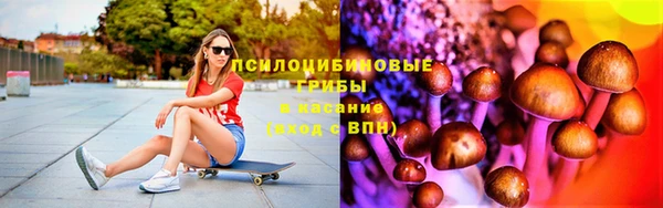 стафф Богородск