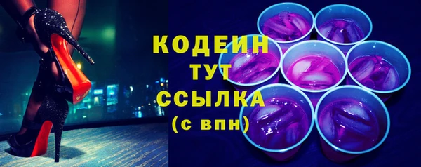 ПСИЛОЦИБИНОВЫЕ ГРИБЫ Богданович