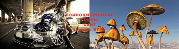стафф Богородск