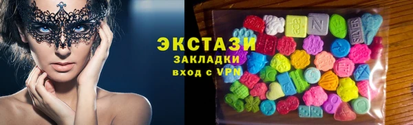 индика Богородицк
