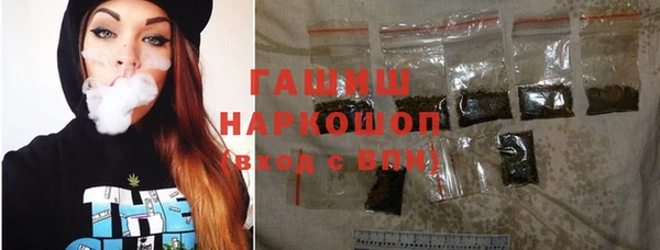 индика Богородицк