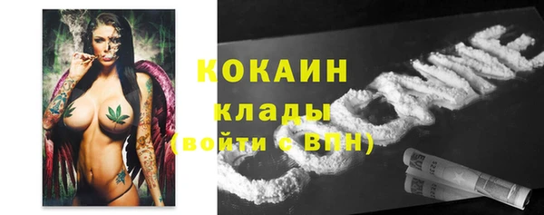 ПСИЛОЦИБИНОВЫЕ ГРИБЫ Богданович