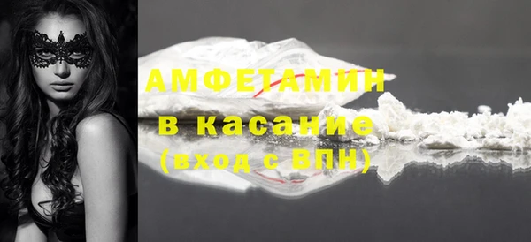 индика Богородицк