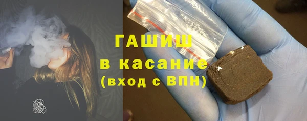индика Богородицк