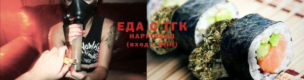 индика Богородицк
