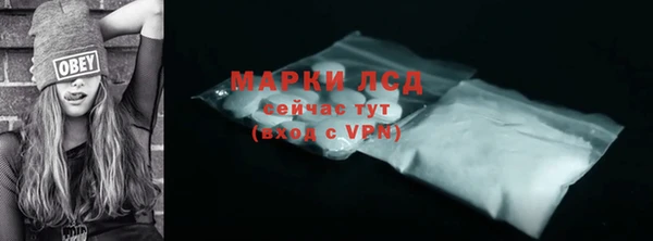 индика Богородицк