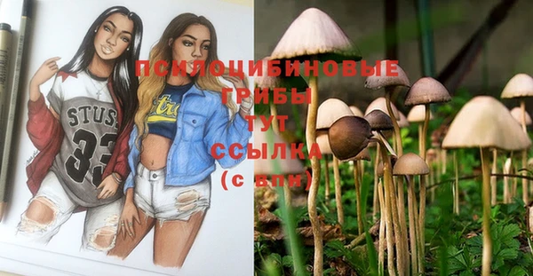 соль курить ск Бородино