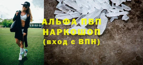 индика Богородицк