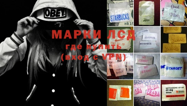 индика Богородицк