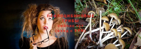 ПСИЛОЦИБИНОВЫЕ ГРИБЫ Богданович