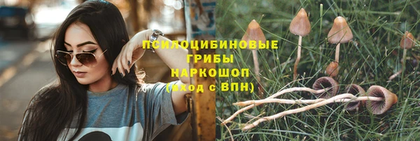 ПСИЛОЦИБИНОВЫЕ ГРИБЫ Богданович