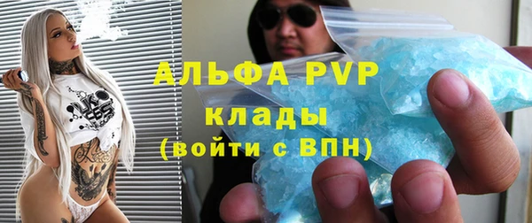 индика Богородицк