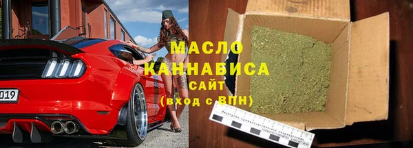 индика Богородицк