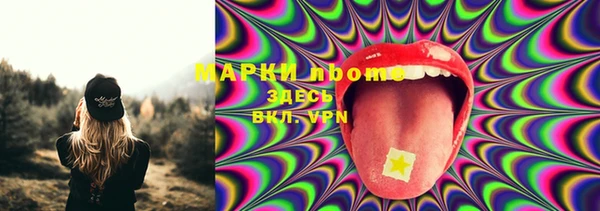 индика Богородицк