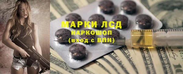 ПСИЛОЦИБИНОВЫЕ ГРИБЫ Богданович