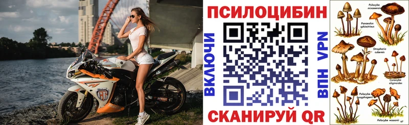 Галлюциногенные грибы Cubensis Купить где Мирный